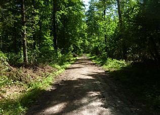 Fischbecker Heide