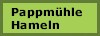 Link Pappmhle-Hameln